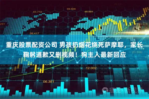 重庆股票配资公司 男孩扔烟花烧死萨摩耶,家长鞠躬道歉又删视频!狗主人最新回应